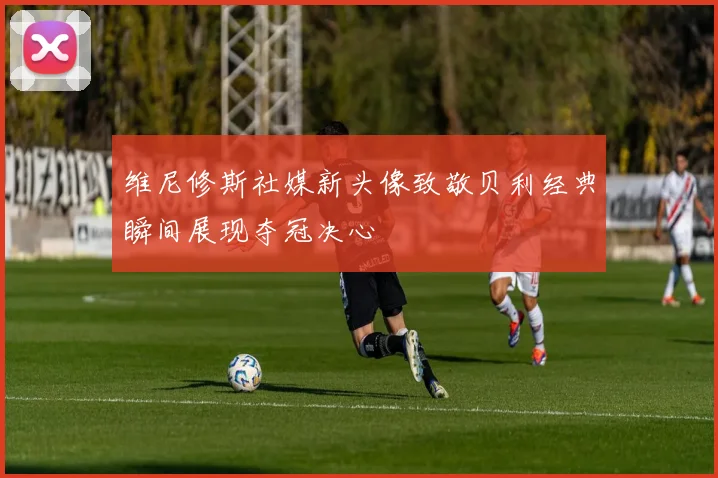 维尼修斯社媒新头像致敬贝利经典瞬间展现夺冠决心